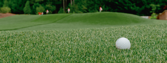 Tour Greens Putting Green with Golf Ball