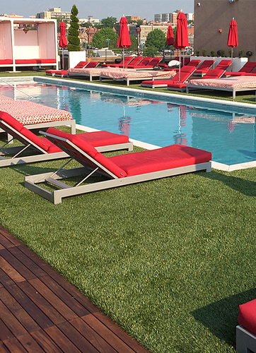 Pool with Grass Surround on Rooftop