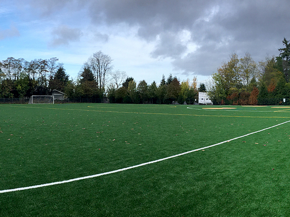 Multi-color turf baseball field