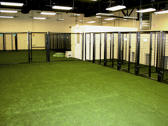 Indoor Pet Turf