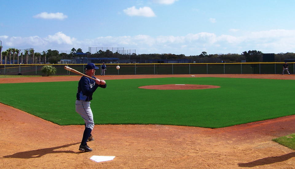 Rays Baseball Field