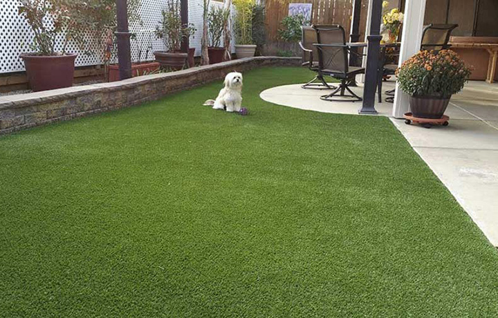 pet turf lawn on ultra base fast draining base