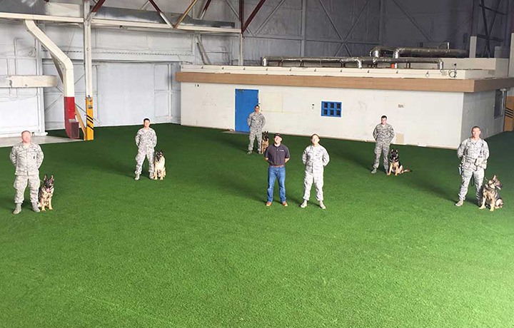 Dog training facility with turf on Ultra Base panels