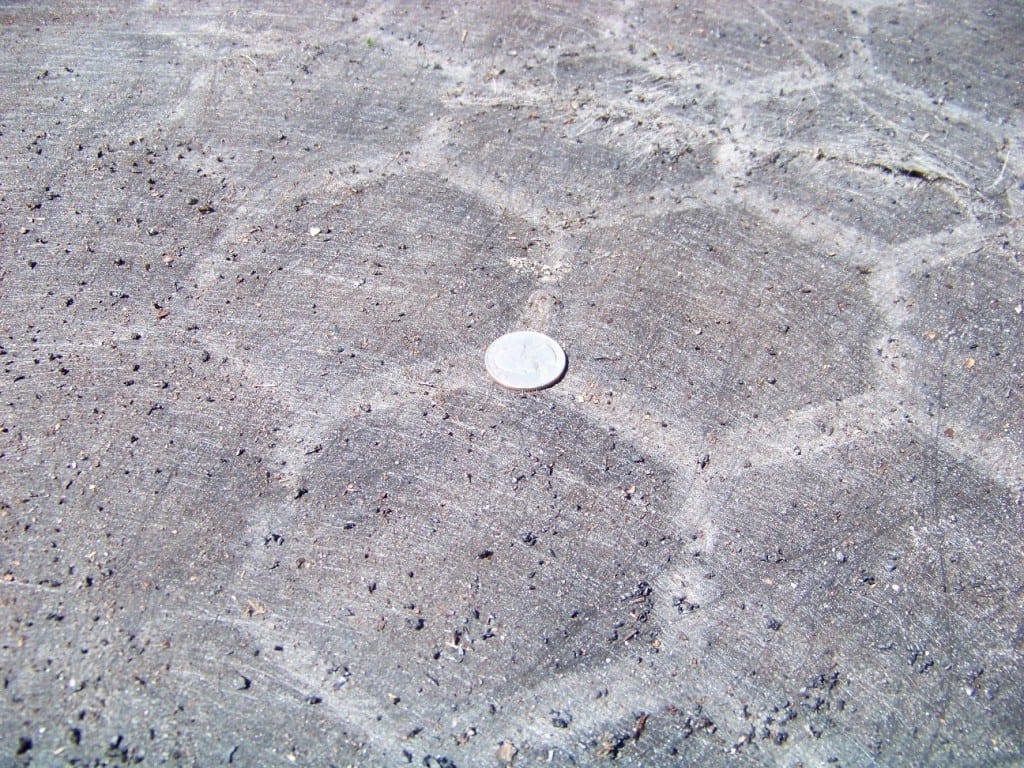 quarter next to the ground after base panel is removed