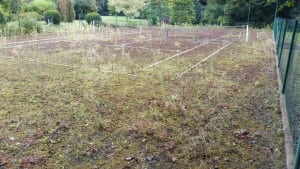 before photo of overgrown tennis court with dirt and weeds
