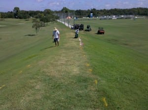 turf installation area is marked for grass removal