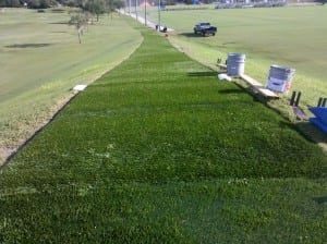 long shot of artificial golf tee line