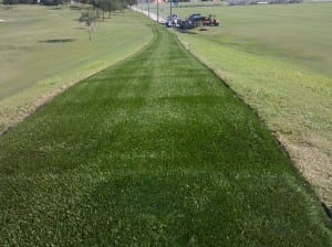 artificial turf tee line is completed