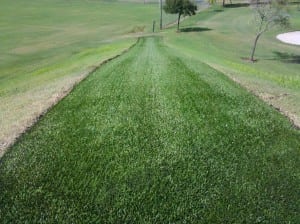 large completed artificial turf tee line installation