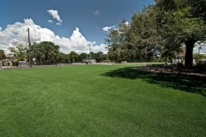 artificial turf soccer field under large tree