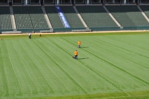 field installers pressing artificial turf seams on football field