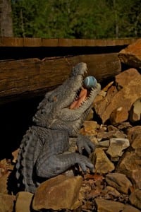 alligator statue at snag golf course