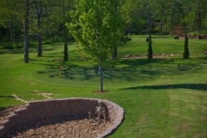artificial outdoor putting green next to rock pit on snag golf course