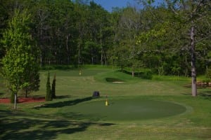 two artificial putting green areas on snag golf course