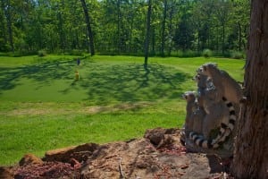 lemur statues next to competed artificial turf putting green for snag golf course