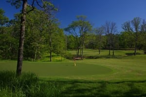 artificial putting green snag golf course