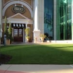 artificial lawn turf in front of Brio tuscan grille Orlando mall