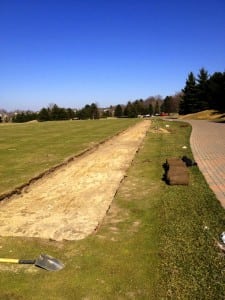 cleared area for tee line turf installation