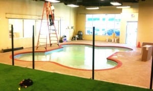 indoor dog pool installation