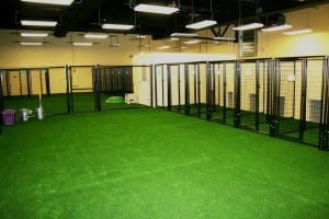 completed indoor pet area installation with artificial grass