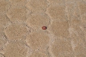penny on top of sand impression created by ultrabasesystems base panel
