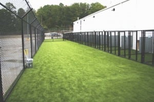full view of outdoor dog kennels with artificial grass installed