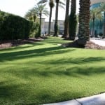 completed artificial lawn turf installation near palm trees and curb