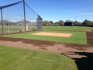 completed baseball field turf installation at Tampa Spring training complex